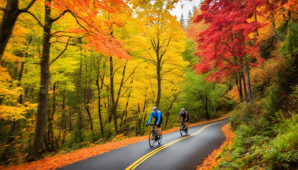 Autumn Cycling Trails, Victoria's Foliage, Two Wheels Enjoyment